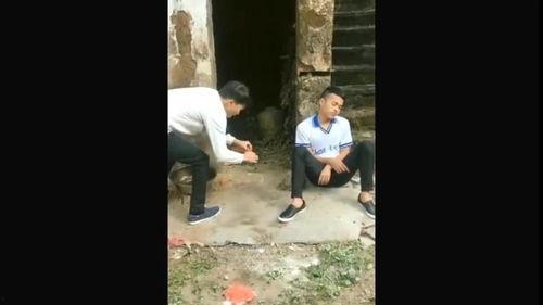 农村爆料搞笑视频大全,农村爆料搞笑视频大盘点  第2张 农村爆料搞笑视频大全,农村爆料搞笑视频大盘点  第2张